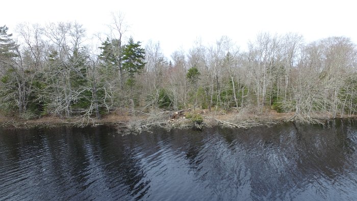 WentworthHalbinsel (80)